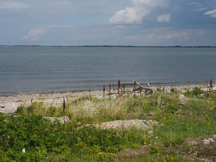 Halshuisene + Enebaerodde Beach (Denemarken)